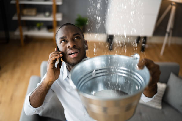 Best Water damage cleanup near me  in Walden, NY