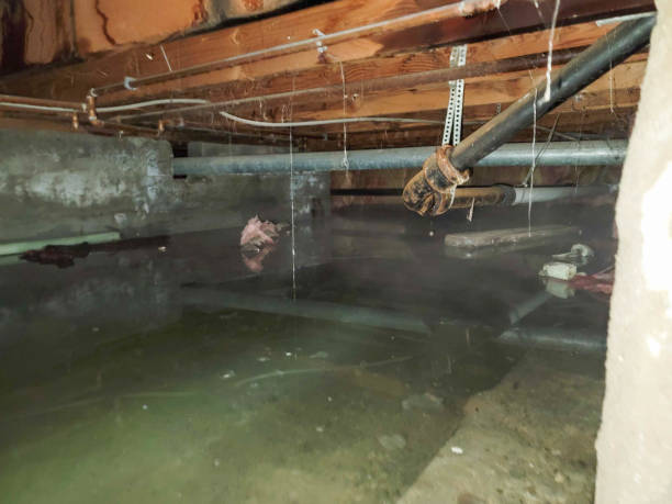 Best Ceiling water damage repair  in Walden, NY