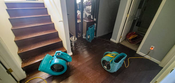 Best Carpet water damage restoration  in Walden, NY