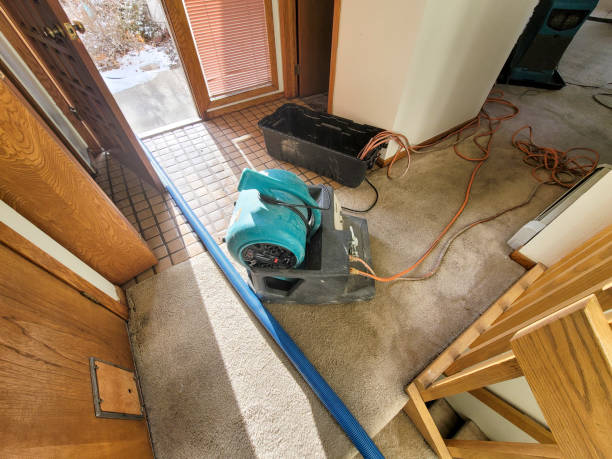 Best Sewage cleanup and water damage restoration  in Walden, NY