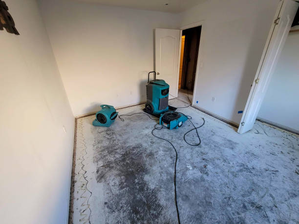 Best Water damage contractors near me  in Walden, NY
