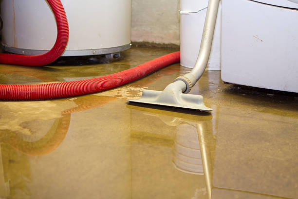 Best Commercial water damage restoration  in Walden, NY