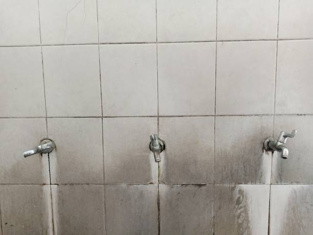 Best 24/7 water damage repair  in Walden, NY