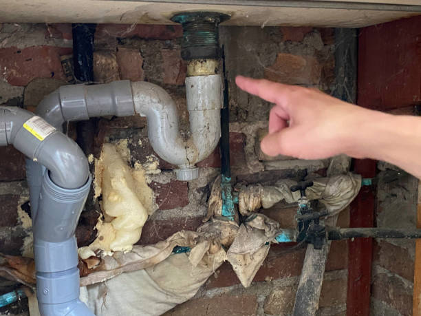 Best Basement water damage restoration  in Walden, NY