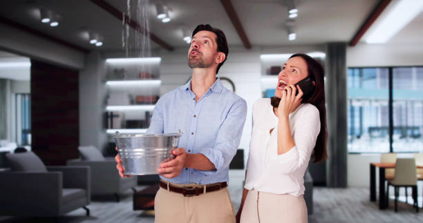Best Water damage cleanup near me  in Walden, NY